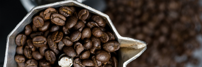 Café : les grands crus éthiopiens menacés par le réchauffement climatique Café : les grands crus éthiopiens menacés par le réchauffement climatique