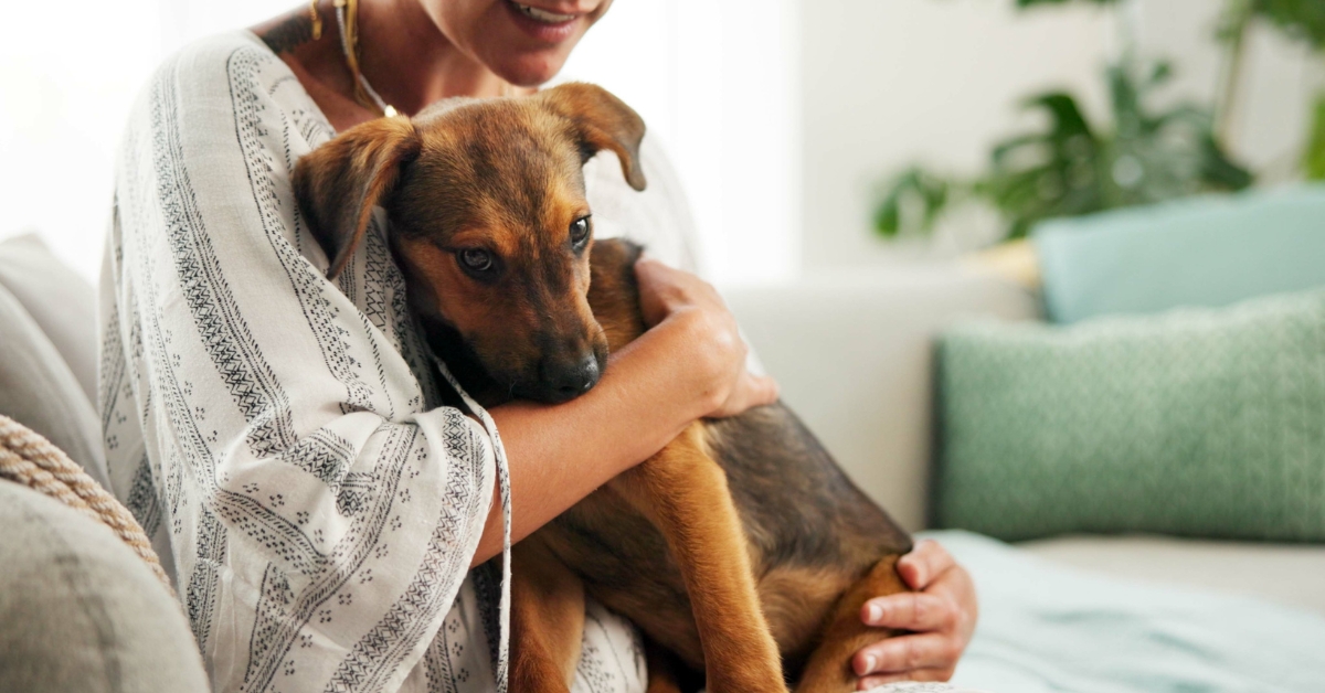 Protéger ses animaux des risques d'empoisonnement