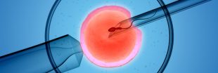 Assistance à la procréation : la congélation des ovocytes désormais ouverte à toutes