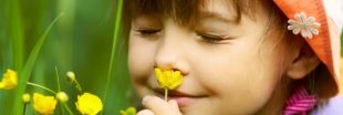 Juniors et émotions : les élixirs floraux pour enfants