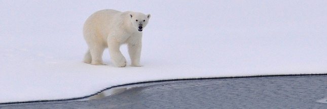 Un gaz hilarant s’échappe de l’Arctique à cause de la fonte des glaces