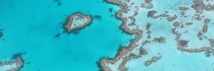 Grande barrière de corail : un projet de mine géante très controversé