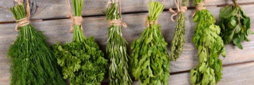 Toutes les vertus des herbes aromatiques du jardin