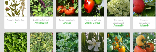 MyGardenMap, le Wikipédia des plantes cultivées