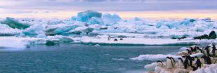 Pollution plastique en Antarctique : la situation est pire qu'on le pensait...