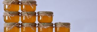 L'effondrement de la production de miel en France