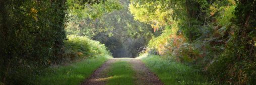 Une nouvelle réserve de vie sauvage en Bretagne