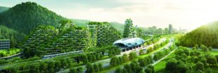 La Chine construit la plus grande ville-forêt au monde La Chine construit la plus grande ville-forêt au monde