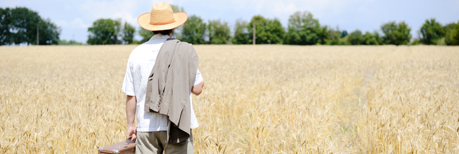 Le gouvernement signe un énorme coup d'arrêt au développement de l'agriculture bio