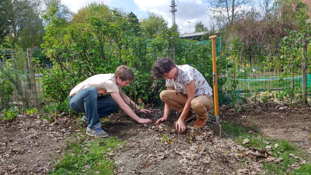 Envie d’un jardin en permaculture ? Arbraculture vous accompagne