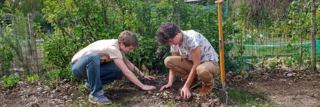 Envie d’un jardin en permaculture ? Arbraculture vous accompagne