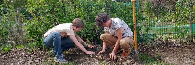 Envie d'un jardin en permaculture ? Arbraculture vous accompagne Envie d'un jardin en permaculture ? Arbraculture vous accompagne