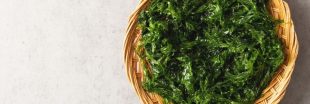 Recette bio : du caviar d'algues à l'apéritif !