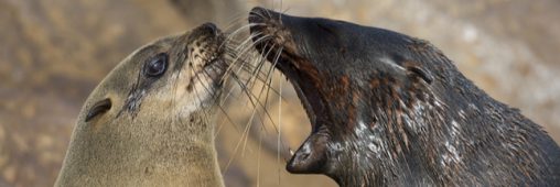 On pourra bientôt diagnostiquer les malades grâce à leur haleine