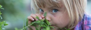 Jardinez et dégustez les herbes de l'été avec les enfants