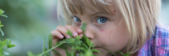 Jardinez et dégustez les herbes de l’été avec les enfants