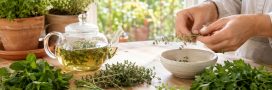 Ces herbes aromatiques ont plus d&rsquo;un tour dans leurs feuilles