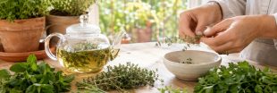 Ces herbes aromatiques ont plus d'un tour dans leurs feuilles