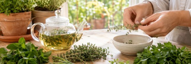 Femme préparant une infusion de thym entourée de menthe, persil, ciboulette et autres herbes aromatiques fraîches