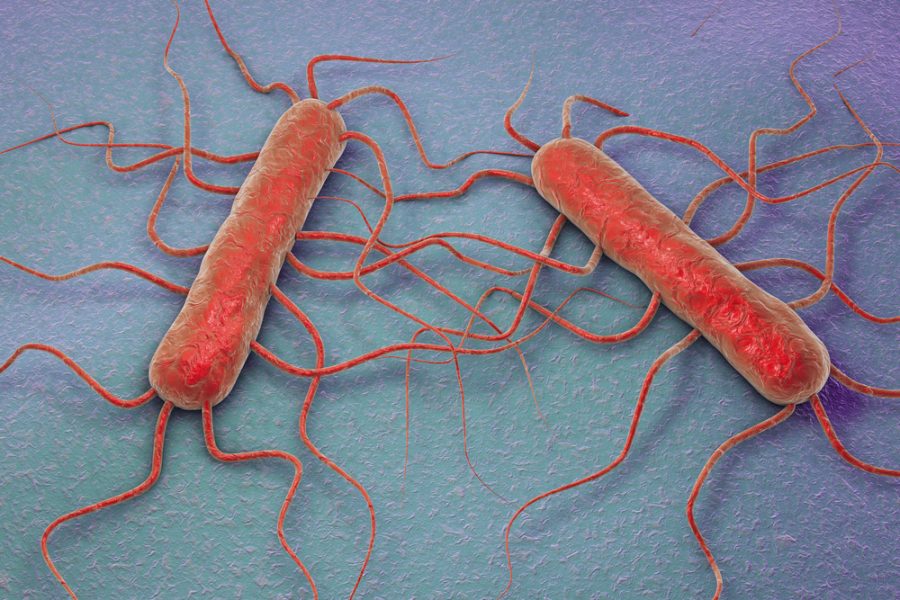 listeria-monocytogenes_shutterstock_400088737-e1499779291441.jpg