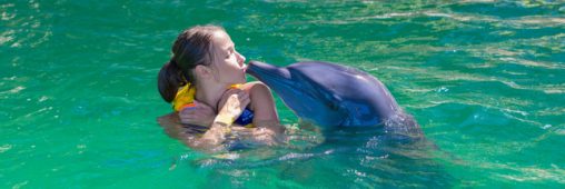 Nager avec les dauphins : une pratique dangereuse