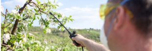 Pesticides contrefaits : une saisie record pour Europol Pesticides contrefaits : une saisie record pour Europol