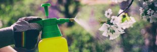 Vente de pesticides en libre-service : de nombreuses enseignes en infraction