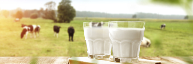 Rappel produit – lait demi-écrémé -bouteilles de 50 cl – Candia – Auchan – Grand Jury – Carrefour Bio – Biovillage