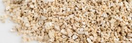 La vermiculite : isolation, jardinage… ses nombreux usages (et dangers !)