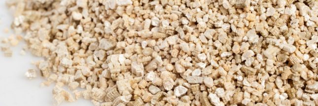 La vermiculite