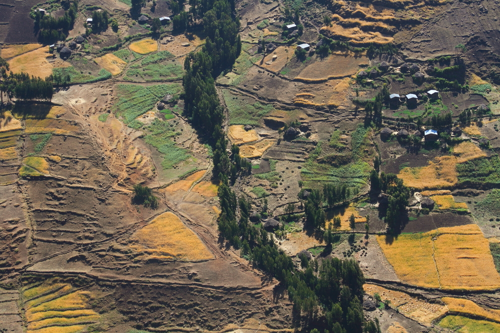 agriculture ethiopie