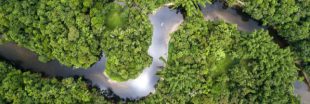 Le Brésil autorise l'exploitation minière dans la forêt amazonienne