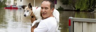 5 histoires d'animaux étonnantes lors du cyclone Harvey
