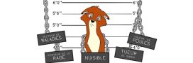 Le renard, animal injustement mal-aimé, en vedette en BD