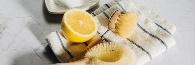 nettoyants ménagers naturels