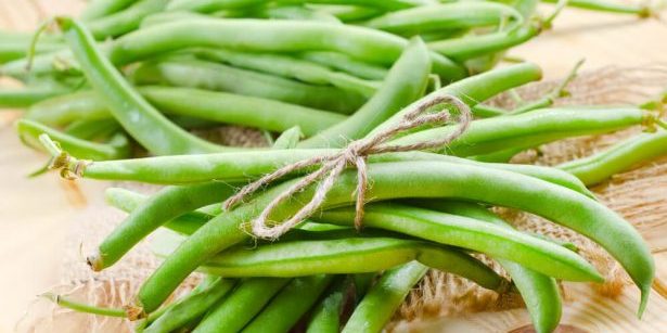 légumes de saison août