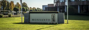 Polychlorobiphényle : Monsanto a sciemment caché les risques
