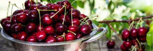 Du cyanure dans les noyaux de cerises !