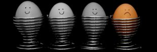 Oeufs contaminés : 15 pays européens touchés, les oeufs bio aussi