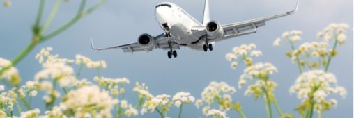 À l’aéroport de Roissy aussi, on protège la biodiversité