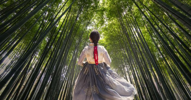 vêtements en bambou