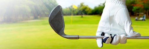 Préserver une zone humide ou construire un golf ? La Gironde a choisi le golf