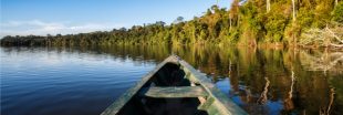 Sous pression, le gouvernement brésilien annule un permis d'exploitation minière dans une réserve d'Amazonie