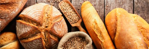 Bientôt du pain sans gluten au blé génétiquement modifié !