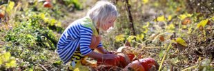 Supprimez les pesticides de votre jardin : les magasins Botanic les collectent