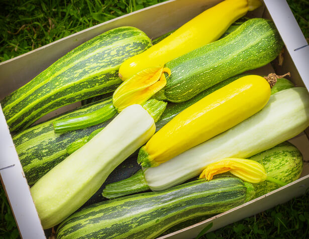 légumes septembre