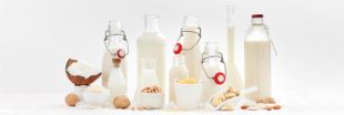 Les laits de substitution sont pauvres en iode : comment éviter les carences ?
