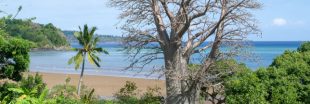 Création d'une nouvelle réserve naturelle nationale à Mayotte
