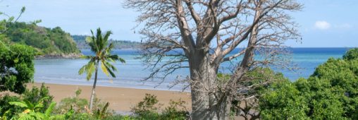 Création d’une nouvelle réserve naturelle nationale à Mayotte