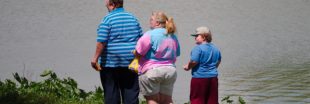 Un patch pour soigner l'obésité ?